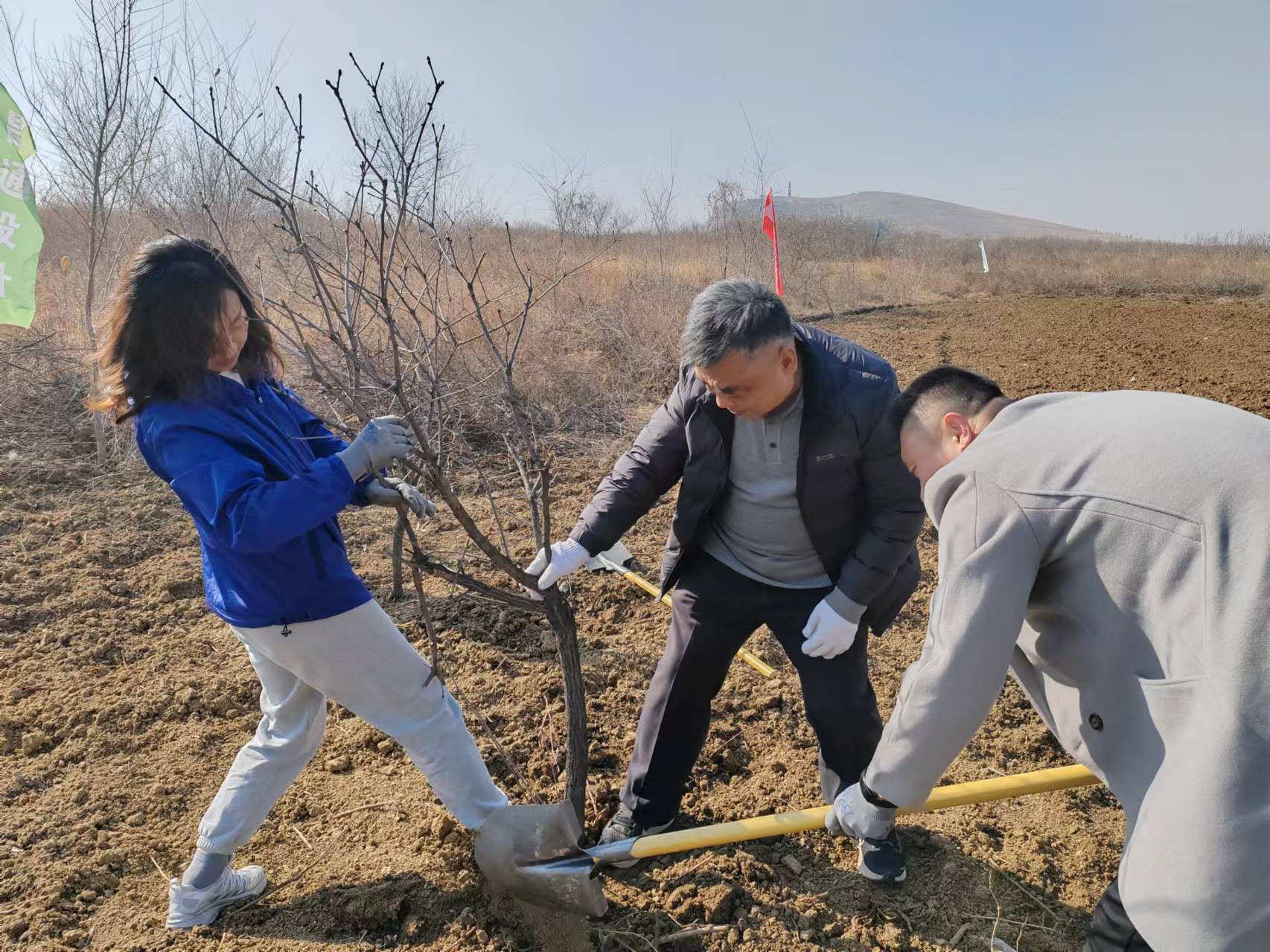 ?華遠公司組織開展義務(wù)植樹活動